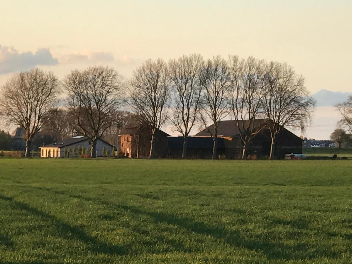 Koenigsgut Emmericher Eyland Kalkar Exteriör bild